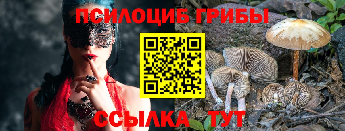 Галлюциногенные грибы Psilocybine cubensis Городец