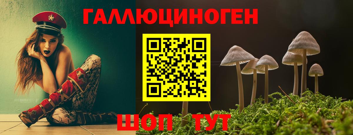 Городец  MDMA  Бошки Шишки  Меф   Гашиш  Вход с VPN  Кокаин  NBOMe 