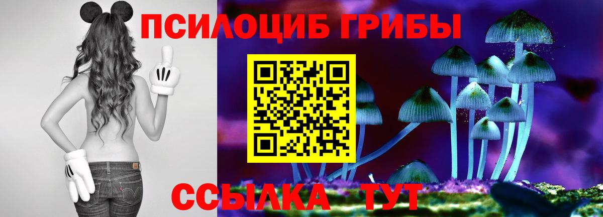 Галлюциногенные грибы Cubensis  Галлюциногенные грибы прущие грибы  Городец  Вход с VPN 